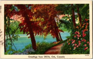 Scenic View, Greetings from Delta Ontario Canada c1950s Vintage Postcard B43
