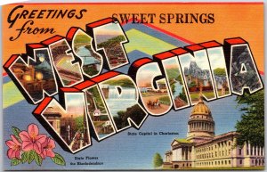 Sweet Springs WA-West Virginia, Greetings, State Flower, Large Letter Postcard