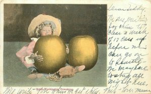 Apples Farm Agriculture Pumpkin Printing Graham 1906 Postcard 20-2334