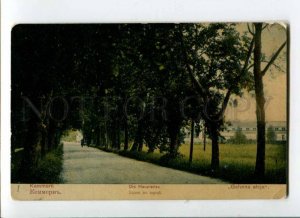 289492 LATVIA Kemeri alley in the park 1913 y RPPC to Strelna St.Petersburg