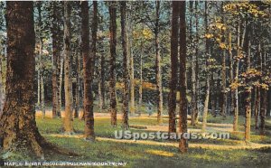 Maple Sugar Grove - Ferndale, New York