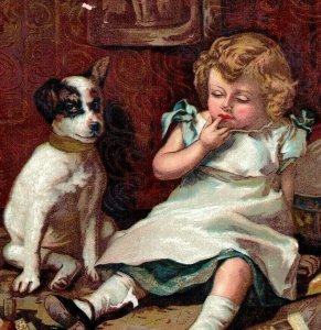 1890s McLaughlin's XXXX Coffee Child & Cute Dog Try Try Again #5K