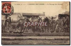 Old Postcard Horse Riding Equestrian L & # 39armee Indias The grooming horses...