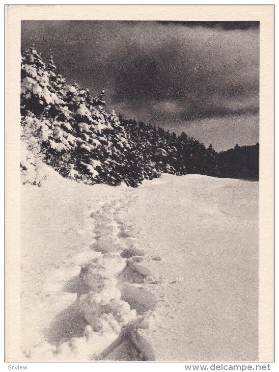 Effet De Neige Pres Du LAC-BEAUPORT, Quebec, Canada, 1910-1920s