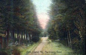 The Grassy Road in Orr's Island, Maine