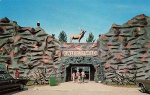 MI, Gaylord, Michigan, Call Of The Wild Museum, Exterior, Foster Pub No 32323