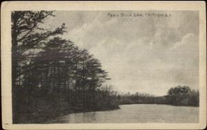 Patchogue Long Island NY Palace Brook Lake c1905 Postcard