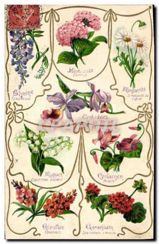 Old Postcard Fantasy Flowers of Language