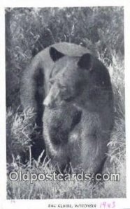 Eau Claire, Wisconsin, USA Bear Postcard