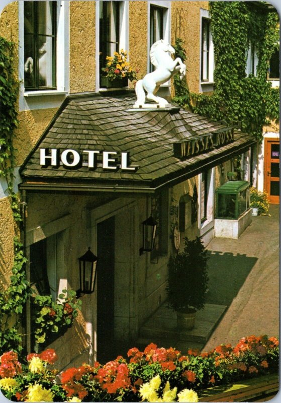 postcard Austria - St. Wolfgang  am see - Hotel White Robi