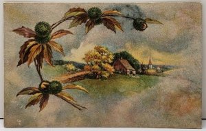 Greeting Cottage Scene Chestnut Hulls 1914 Altoona Pa Rally Day Postcard F1