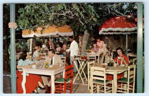 TUCSON, Arizona AZ ~ The Old Adobe PATIO RESTAURANT c1960s Roadside Postcard