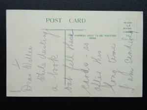 Monkey Orchestra & Conductor Theme FORTE FORTISSIMO c1907 Postcard