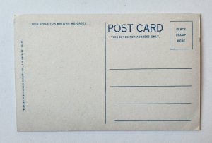 Yucca Palm Tree Spanish Dagger Plant CA Landscape Postcard