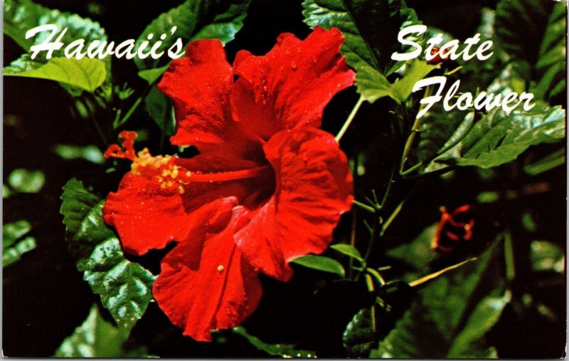 Close View Red Hibiscus Hawaii Official State Flower Full Bloomed Postcard UNP 