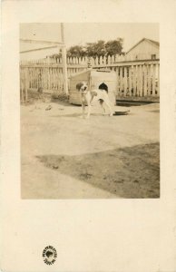 RPPC Penn Park Studios York PA Postcard Beagle Type Dog