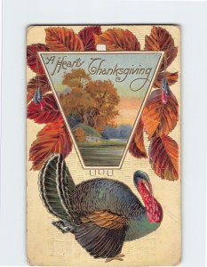 Postcard A Hearty Thanksgiving with Turkey Leaves Embossed Art Print