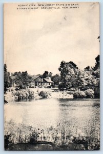c1940 Branchville New Jersey Postcard Scenic View State 4-H Camp Strokes Forest