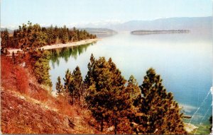 Flathead Lake near Kalispell Montana Postcard