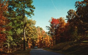 Postcard Natchez Trace Parkway Many Beautiful Never-To-Be-Forgotten Scenes