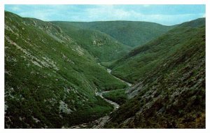 Postcard NATURE SCENE Cape Breton Nova Scotia NS AS2004