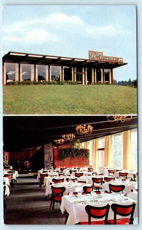 CATSKILL, New York NY ~ Roadside SKYLINE RESTAURANT & Terrace Lounge Postcard