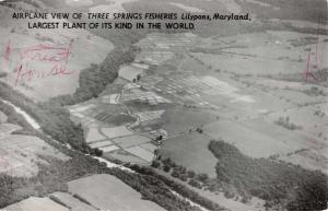 Lilypons Maryland Three Springs Fishery Real Photo Antique Postcard K78048