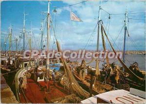 Postcard Modern Arcanchon (Gironde) Vessels fishing and marina