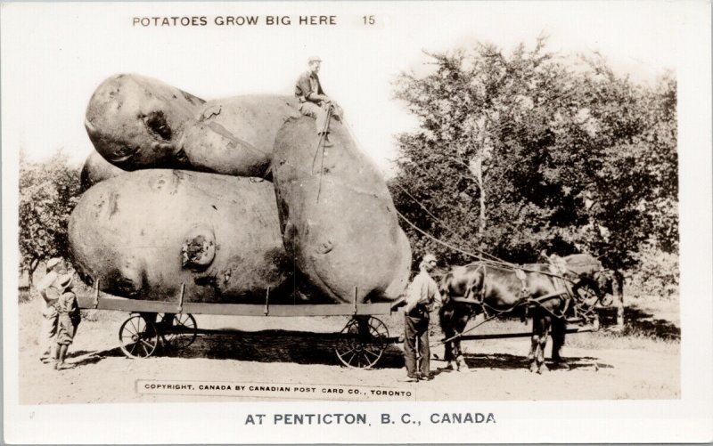 Penticton BC Exaggerated Potatoes Farmer Agriculture Unused RPPC Postcard E89