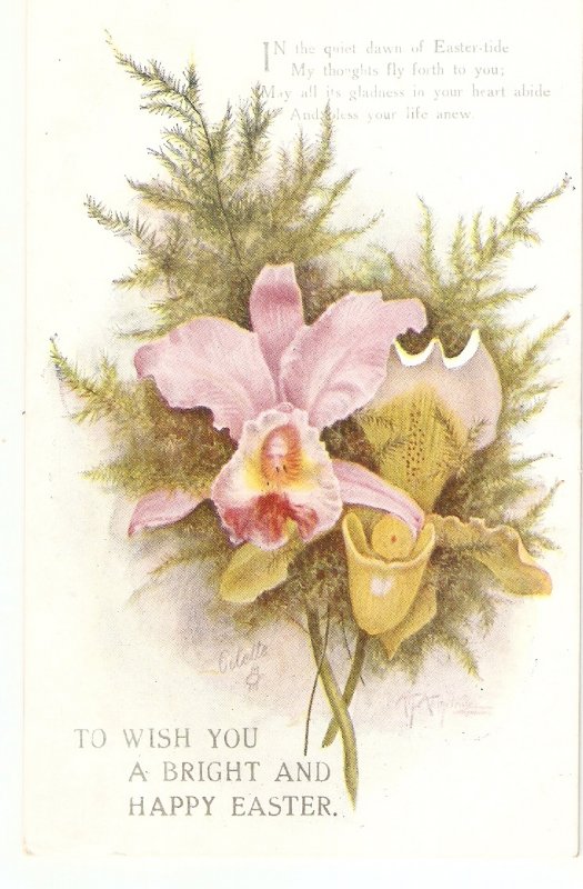 Orchid Flowers Tuck Oilette Easter Greetings Ser. PC # 8851