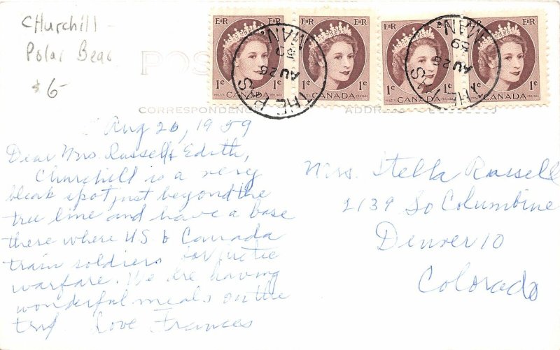 H67/ Canada RPPC Postcard c1940s Polar Bear In The Wild  183