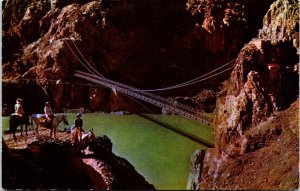 USA Kaibab Suspension Bridge Grand Canyon Arizona Chrome Postcard C006