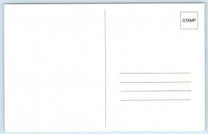 Advertising 1991 CHEVROLET SUBURBAN Pulling Avion Trailer  Postcard