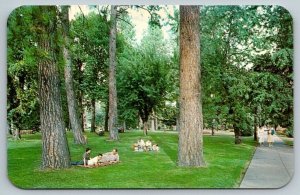 Coeur d'Alene Municipal Park   Idaho   Postcard