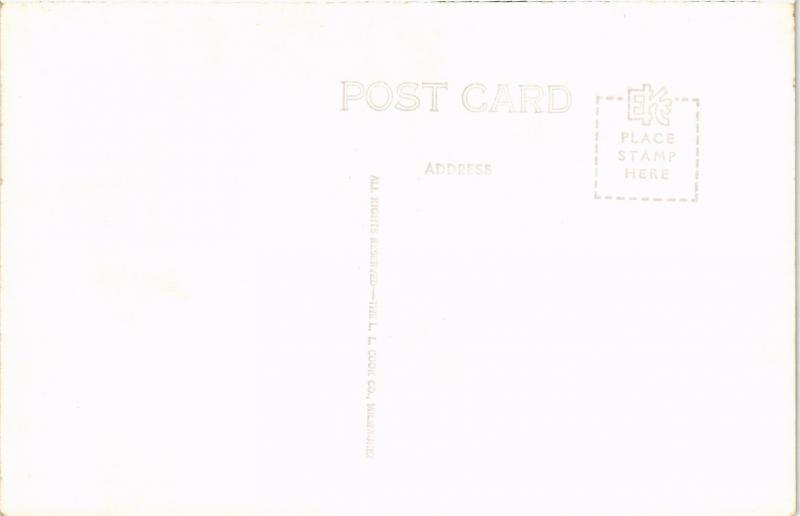 SUSPENSION BRIDGE CAMERON ARIZONA RPPC