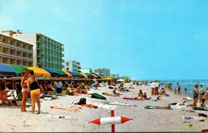 Virginia Virginia Beach View Looking North