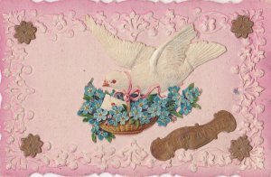 Happy New Year French Pigeon Bird Antique 3D Raised Postcard