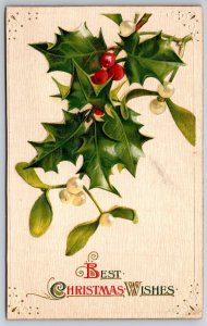 Winsch~Best Christmas Wishes~Holly & Mistletoe In Frame~Emb~Vintage Postcard