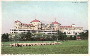 Vintage Postcard Mount Washington Hotel Lambs White Mountains New Hampshire NH