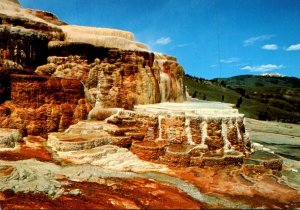 Yellowstone National Park Minerva Terrace