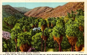 California Palm Springs Palm Canyon 1957