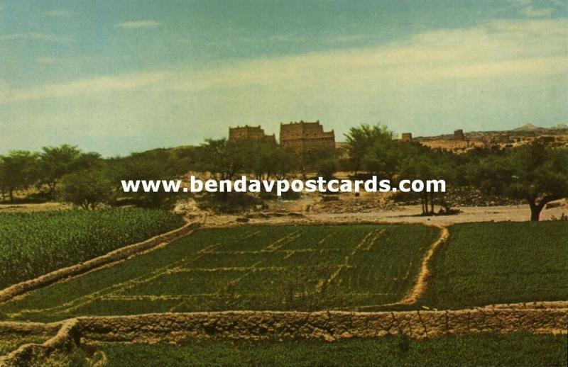 saudi arabia, Cultivated Areas at the Southern Region of the Kingdom (1960s)