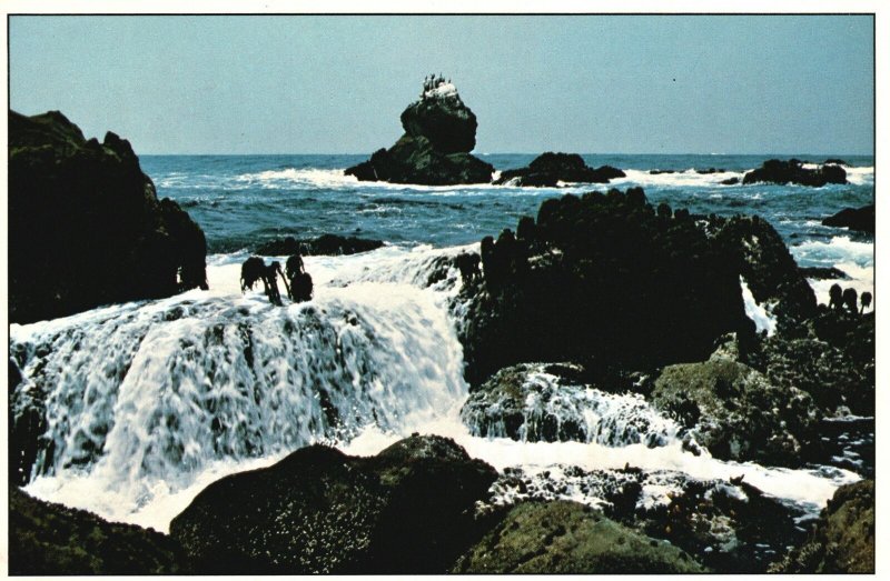 Postcard Rock Hopping Tide Pool Exploring Foamy White Waterfalls A.W. Wilson