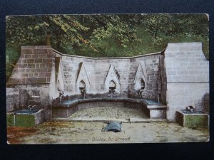 Gloucester BISLEY Nr Stroud THE SEVEN SPRINGS c1905 Postcard by Wrench Series