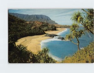 M-115352 Lumahai Beach Vista Garden Island Kauai Hawaiian Hala Trees Hawaii USA