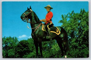 Animals~Royal Canadian Mounted Police In Canada~Vintage Postcard