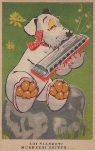 Italian Mouth Organ Harmonica Dog Old Comic Music Postcard