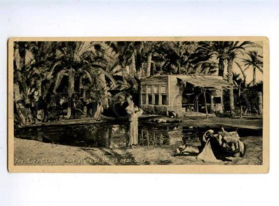 156067 EGYPT SUEZ CANAL Wells of Moses Vintage photo postcard