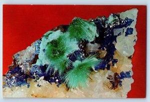 Bingham New Mexico Postcard Linarte Malachite Fluorite And Quartz Scene c1960's