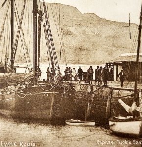 The Harbour Lyme Regis 1900s Raphael Tuck Nautical Postcard Gravure PPCBG6E